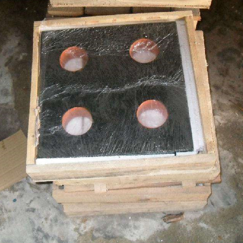 Skoðunarstjóri