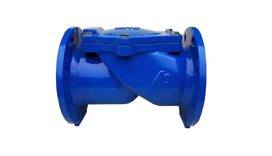 Lestu meira um Check Valve Assy